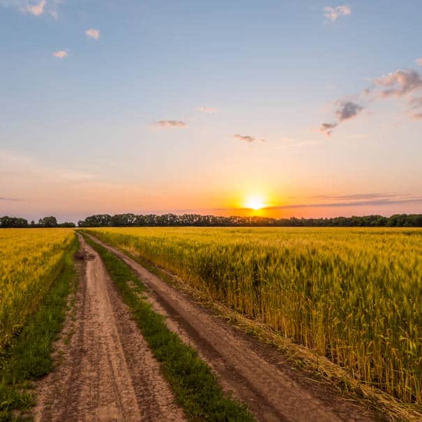 Biologicals and Plant Growth Regulators