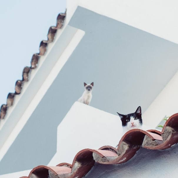 Acol Chemical Privacy Policy